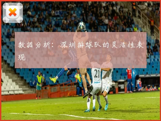 数据分析：深圳排球队的灵活性表现