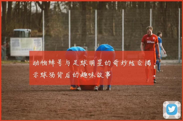 动物绰号与足球明星的奇妙结合揭示球场背后的趣味故事