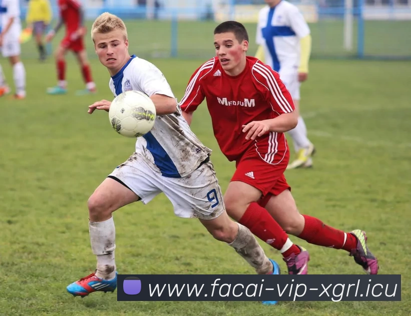 乐鱼体育品牌故事