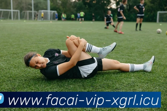 乐鱼体育服务体系